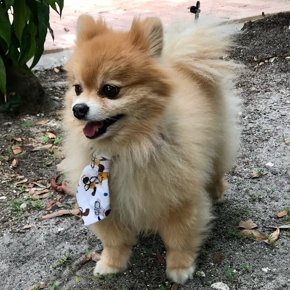 Meet your Posher! 🙋🏻♀️ - Picture 2 of 11